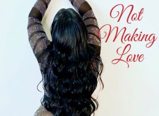 Intelligent Diva - Not Making Love