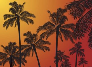 Ant Lauren ft Flash - Tell Me