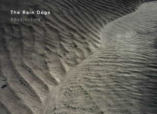 The Rain Dogs - Abstraction