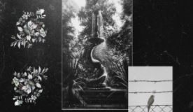 Jet Hundreds - Fountain Of Youth