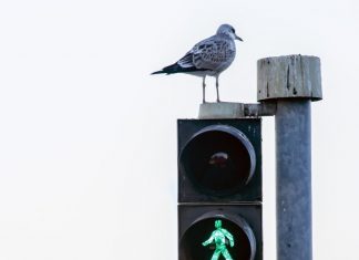 Simon Astley - Everything Will Be Alright