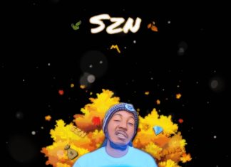 Desean - SZN