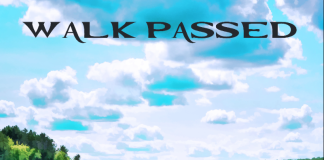 Walk Passed - Jumped Right In