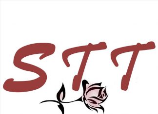 S T T - Diamond In The Rough