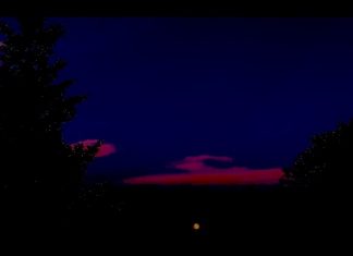 Raymond - Black Everything Else
