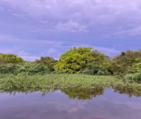 Samantha Leah - Sun Codes