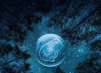 Aquarius - Equinox