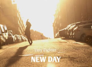 Tiny Fighter - Standing Tall