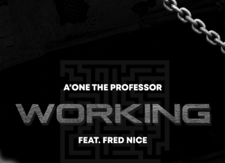 A'One The Professor - Working