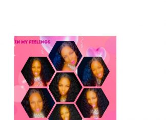 Intelligent Diva - In My Feelings