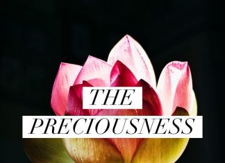 Same Name Different Song (S.N.D.S.) - "The Preciousness"