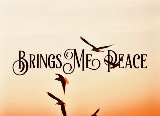 Same Name Different Song (S.N.D.S.) - Brings Me Peace