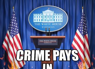 Bennie Ray - Crime Pays In The USA