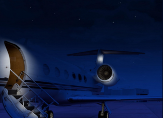 Icon Island - Summer High