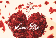 Cherry-Ilex – Love Me (Review) Cherry-Ilex - Love Me (Review)