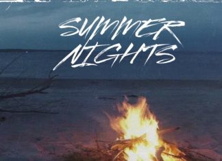 Priceless Lion - Summer Nights