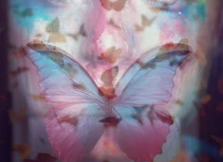 SVNDRA - Stay Ft. Wifisfuneral