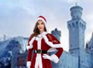 Vicious kitty - Mrs Claus