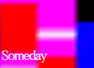 Lifetime Member - Someday