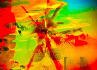 Anthony Wayne - Sprung on Summer (Dragon Dance Outro) S.O.S'D