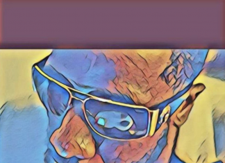 BFA Flexx - Stylistic