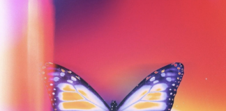 Lil Zani X - Purple Butterfly ft Evander