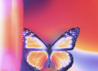 Lil Zani X - Purple Butterfly ft Evander