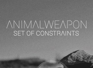 Animalweapon - Set of Constraints