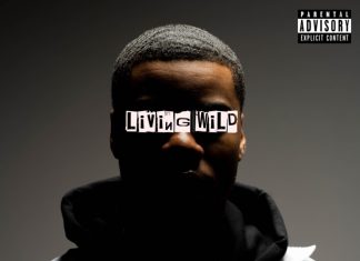 RoccWrldb - Living Wild Freestyle - RoccMix