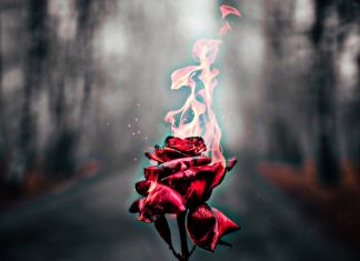 Flaco Paco - Bad Dream