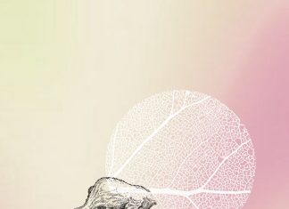 When Due - Sun (Radio Edit)