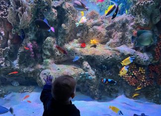 Coliath - Moonlight...