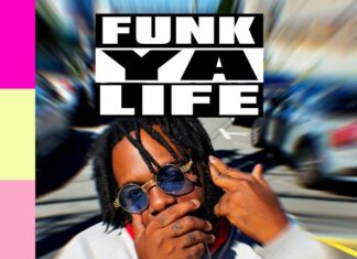 MellowMan Funk - C'est La Vie