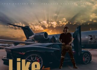 Priceless Lion - Like This