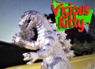 Vicious kitty - Struggle
