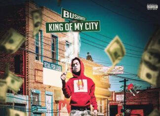 DNT TRillz - King Of My City