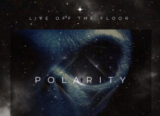 POLARITY - DESTRUCTION OF MEMORY