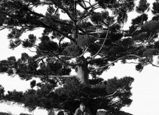 Young Myriad - BLINDFOLD