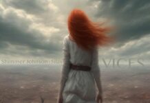 Shimmer Johnson & 5ilas – Vices