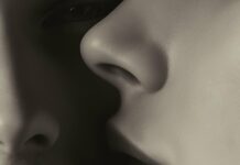 Shimmer Johnson & 5ilas – Beg