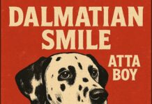 Dalmatian Smile’s ‘That Leather Chair’: Your Next Indie Pop Obsession| New Single