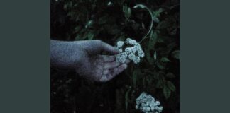 Genevieve Stokes’ ‘Charming’ is the New Essential Post-Breakup Pop Anthem