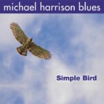 Michael Harrison Blues ‘I Wanna Play’ New Pop Single