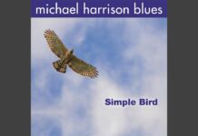 Michael Harrison Blues ‘I Wanna Play’ New Pop Single