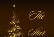 Michellar’s “The Star”: Acoustic Pop Single from SF Singer-Songwriter