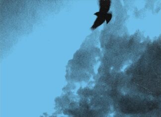 Pinkshift Snow Single Review: A Haunting New Sound for 2025