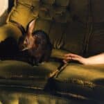 Florence Road – Storm Warnings: New Single & Music Video Review