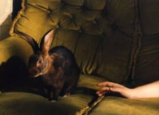 Florence Road – Storm Warnings: New Single & Music Video Review