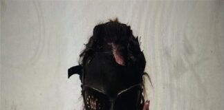 ISOxo & Brutalismus 3000 – SPIRAL: Single Review & Analysis