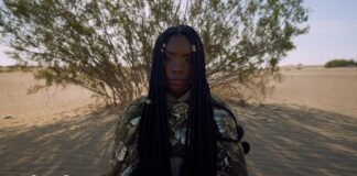 Dua Saleh & Bon Iver “Flood”: New Album ‘Of Earth & Wires’ Details